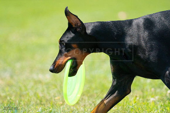 RielVisuals_20240728_122814_SJR03995