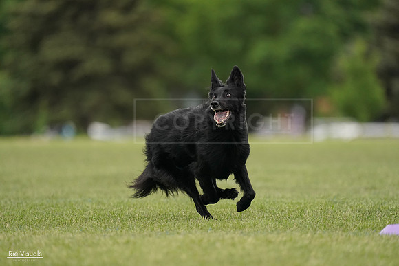 RielVisuals_20240526_133813_SJR08430