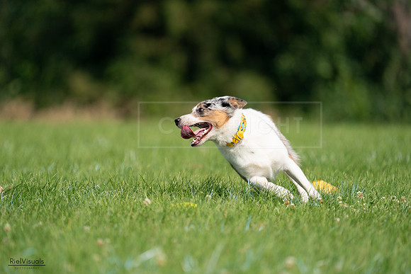RielVisuals_20240727_100300_SJR08392