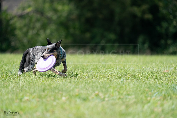 RielVisuals_20240728_145204_SJR09381