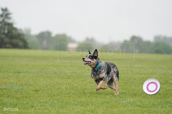 RielVisuals_20240527_105114_SJR01895