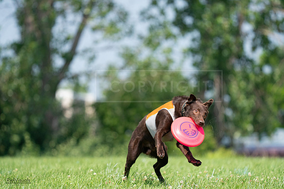 RielVisuals_20240727_114709_SJR03937