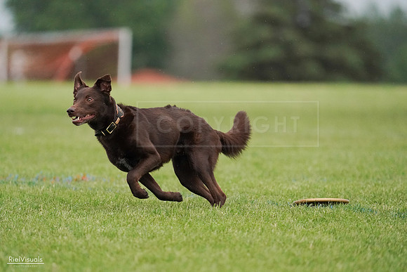 RielVisuals_20240527_090726_SJR05965