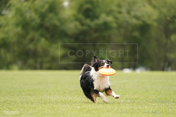 RielVisuals_20240527_132818_SJR09912