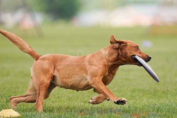 RielVisuals_20240527_141138_SJR01913