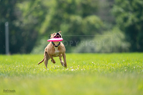 RielVisuals_20240727_131652_SJR07451