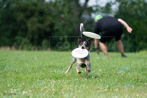 RielVisuals_20240727_133941_SJR07954