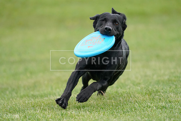 RielVisuals_20240525_163946_SJR05124