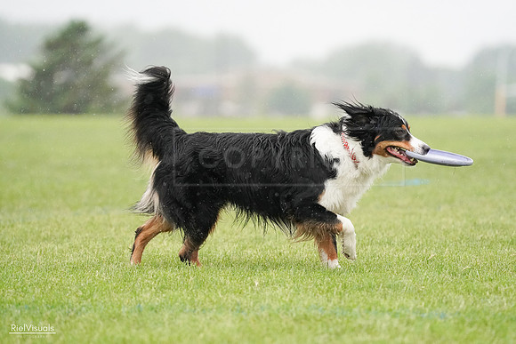RielVisuals_20240527_104801_SJR01712