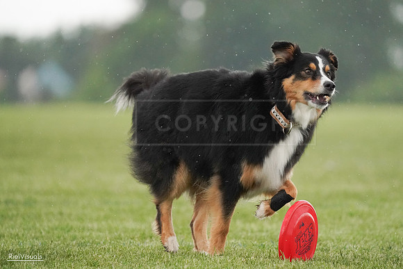 RielVisuals_20240526_094616_SJR00992