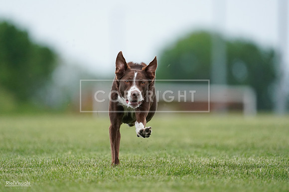 RielVisuals_20240525_162546_SJR04428