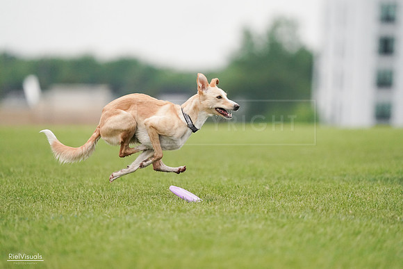RielVisuals_20240527_110716_SJR03029
