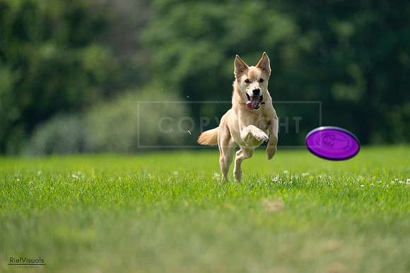 RielVisuals_20240727_120045_SJR04507
