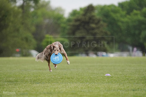 RielVisuals_20240526_092612_SJR00021