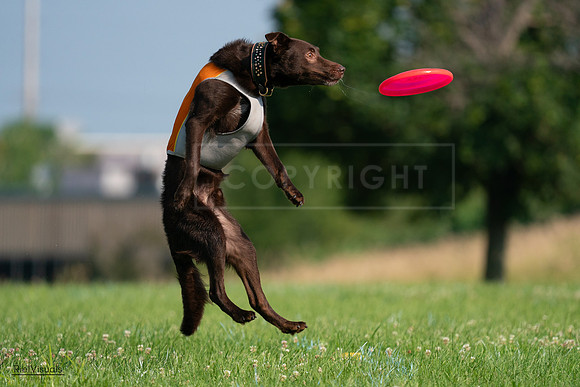 RielVisuals_20240727_092531_SJR06326