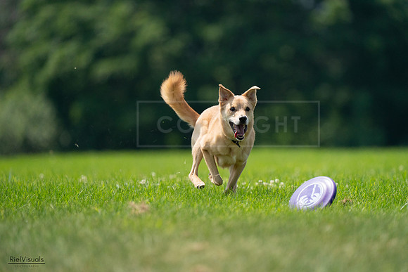 RielVisuals_20240727_120046_SJR04512