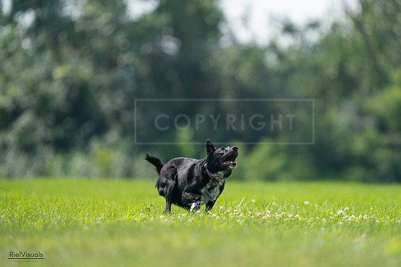 RielVisuals_20240727_125839_SJR06419