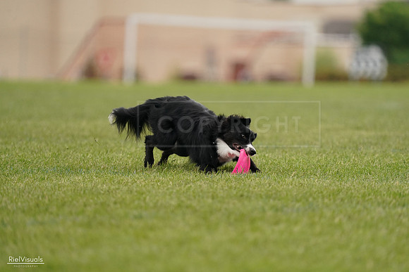 RielVisuals_20240527_132136_SJR09510