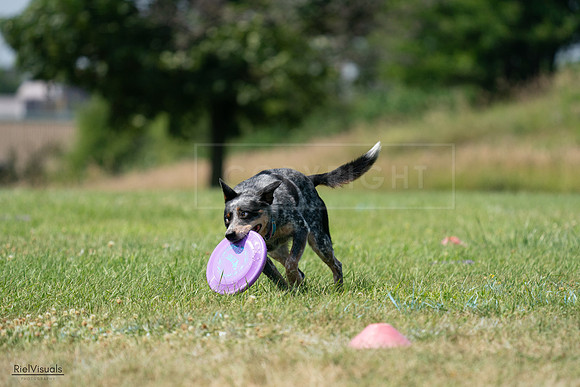 RielVisuals_20240728_145219_SJR09440
