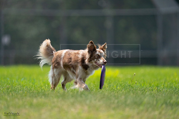 RielVisuals_20240727_131224_SJR07173