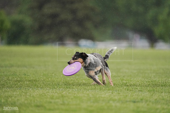 RielVisuals_20240526_094747_SJR01044