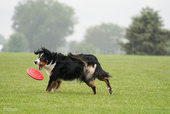 RielVisuals_20240527_104647_SJR01595