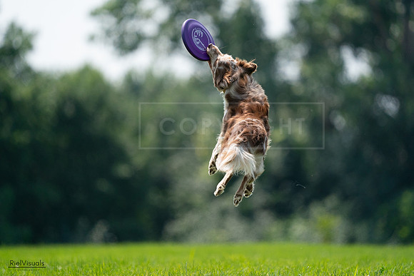 RielVisuals_20240727_131242_SJR07198
