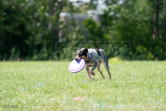 RielVisuals_20240728_143541_SJR08666