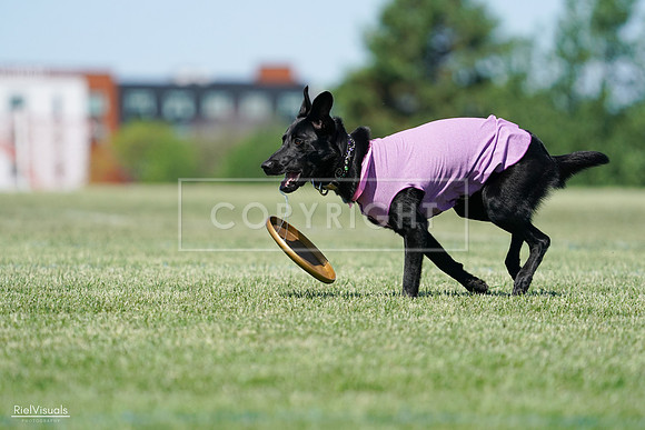 RielVisuals_20240525_104855_SJR05539