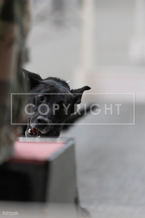 RielVisuals_SJR_2024