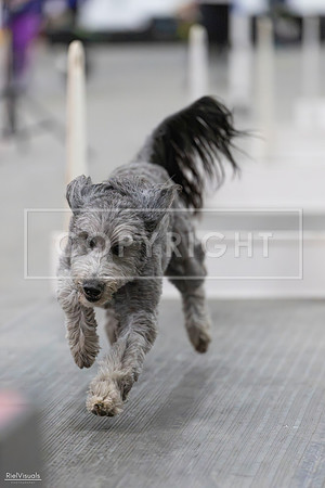 RielVisuals_SJR_2032