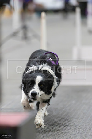 RielVisuals_SJR_2086