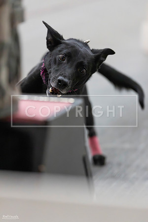 RielVisuals_SJR_2440