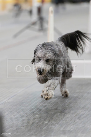 RielVisuals_SJR_2451