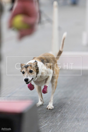 RielVisuals_SJR_2654