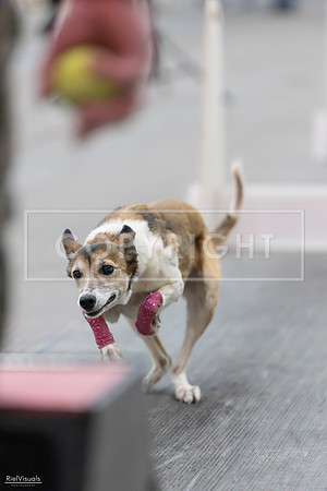 RielVisuals_SJR_2655
