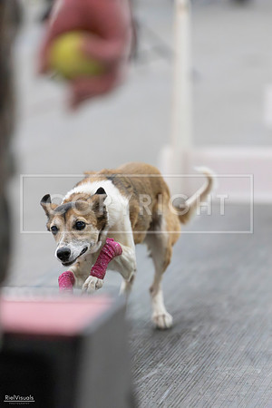 RielVisuals_SJR_2656