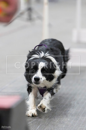 RielVisuals_SJR_2673