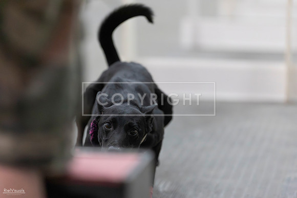 RielVisuals_SJR_1810