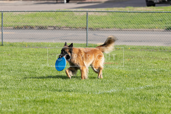 RielVisuals_20260511_171833_SJR_2725