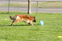 RielVisuals_20260511_171838_SJR_2745