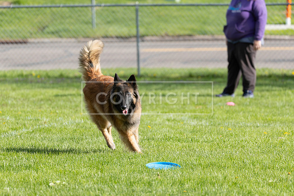 RielVisuals_20260511_171855_SJR_2758