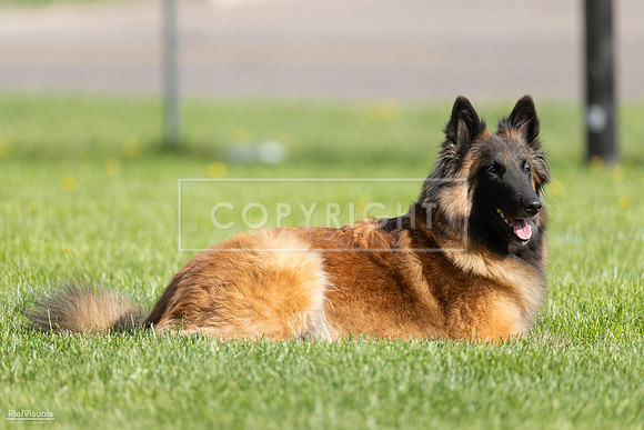 RielVisuals_20260511_171931_SJR_2821