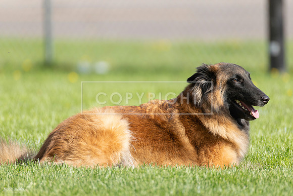 RielVisuals_20260511_171936_SJR_2852