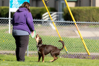 RielVisuals_20260511_172253_SJR_2894