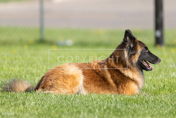 RielVisuals_20260511_171932_SJR_2826
