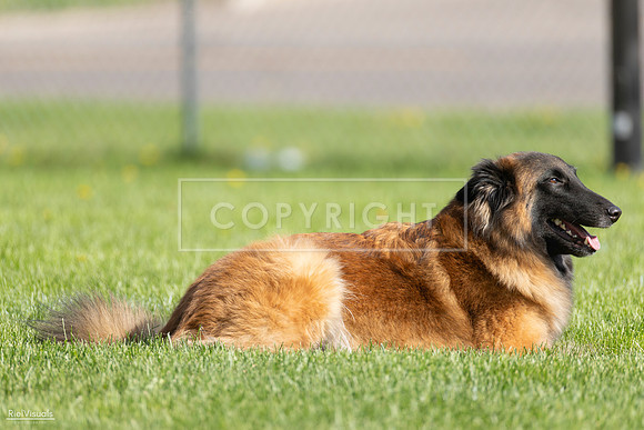 RielVisuals_20260511_171938_SJR_2869