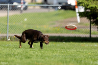 RielVisuals_20260511_172304_SJR_2911