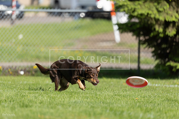 RielVisuals_20260511_172304_SJR_2916