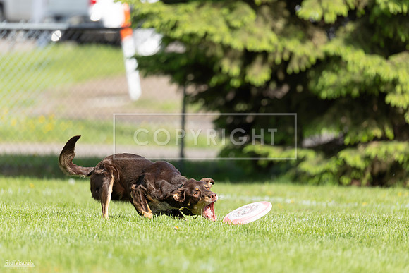 RielVisuals_20260511_172304_SJR_2923